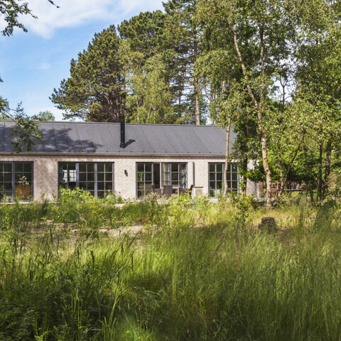 Ett rakt enplanshus i industriell design 314412